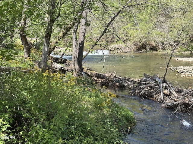 147 Padgett Mill Rd, Cosby, TN 37722 - water view