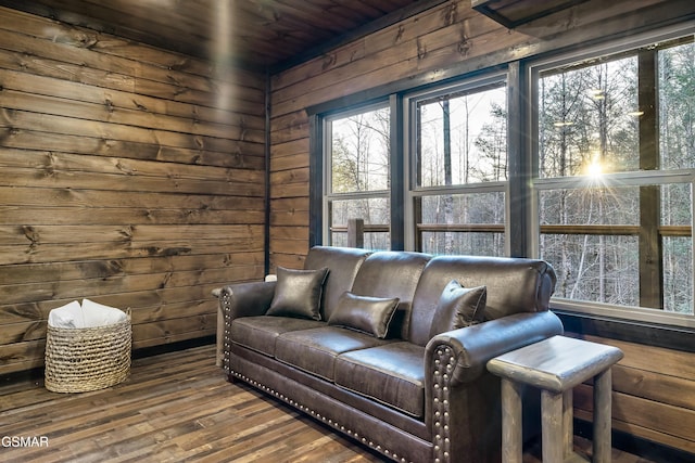 interior space featuring a healthy amount of sunlight, wooden walls, and wood finished floors