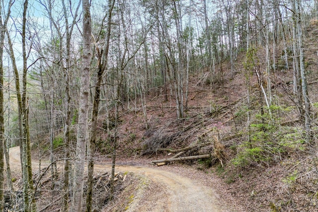 LOT20 Meadow View Rd, Sevierville TN, 37862 land for sale