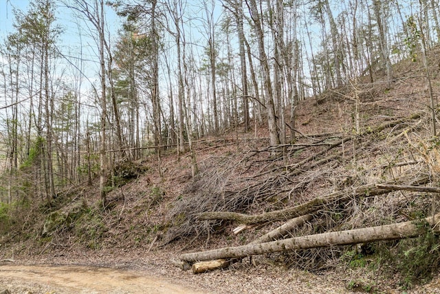 Listing photo 3 for LOT20 Meadow View Rd, Sevierville TN 37862