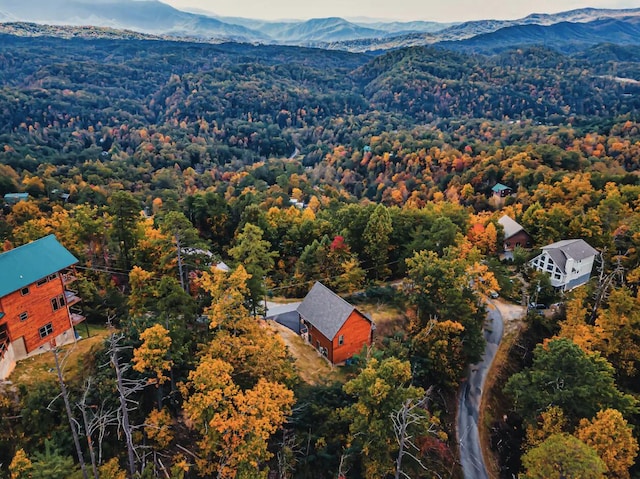 bird's eye view with a mountain view