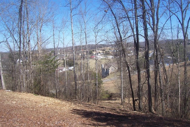 Listing photo 2 for LOT5 Sandpiper Ct, Kodak TN 37764