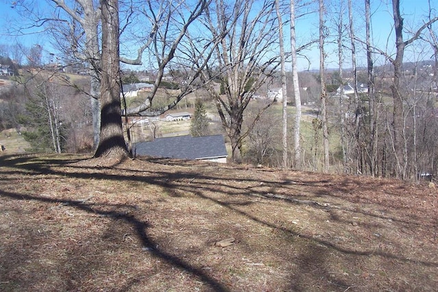 Listing photo 3 for LOT5 Sandpiper Ct, Kodak TN 37764