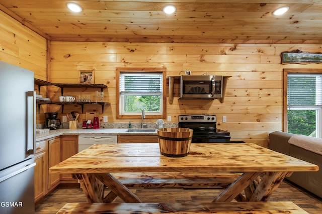 kitchen with wood walls, sink, dark hardwood / wood-style floors, and appliances with stainless steel finishes