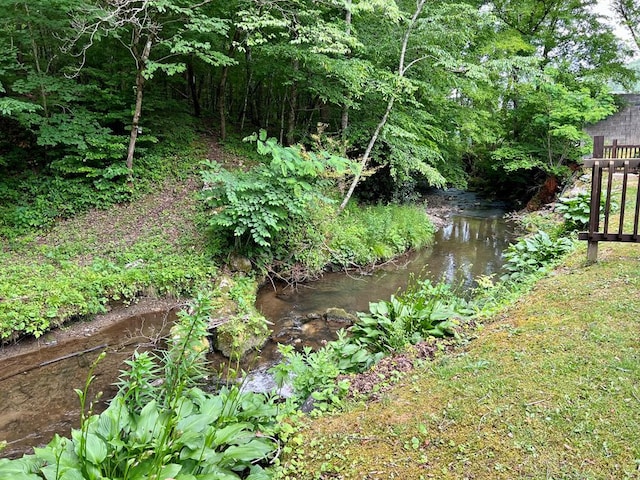 view of local wilderness