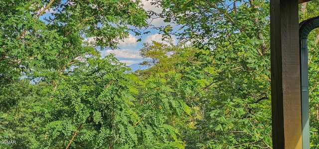 1531 Bear Valley Rd, Sevierville, TN 37876 - view of nature