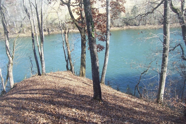 Listing photo 3 for 1991 River Mist Cir, New Market TN 37820