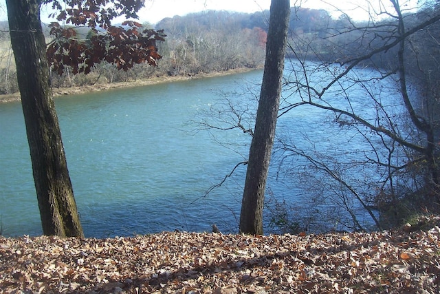 1991 River Mist Cir, New Market TN, 37820 land for sale