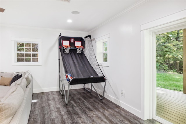 miscellaneous room featuring dark hardwood / wood-style floors, a wealth of natural light, and ornamental molding