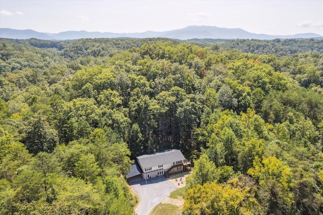 aerial view with a mountain view