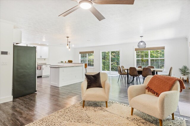 living room featuring ceiling fan, dark hardwood / wood-style flooring, and a textured ceiling