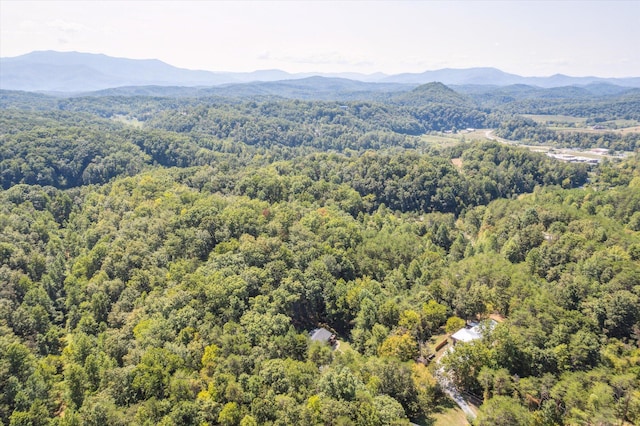 drone / aerial view featuring a mountain view