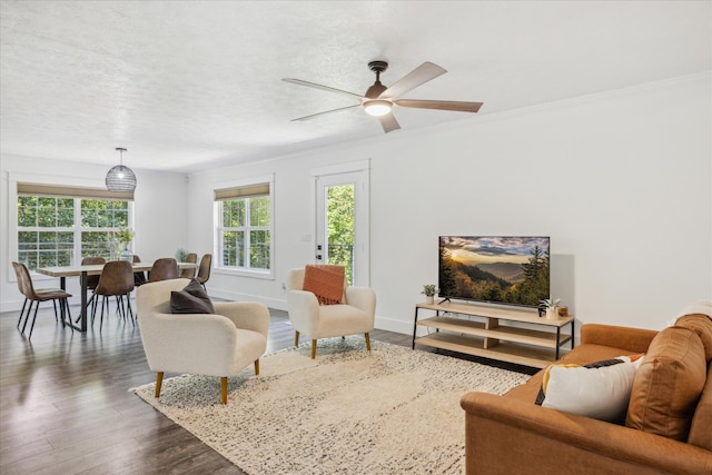 living room featuring ceiling fan, a healthy amount of sunlight, ornamental molding, and dark hardwood / wood-style floors