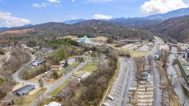 birds eye view of property with a mountain view