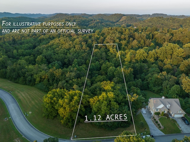 1984 Turners Landing Rd, Russellville TN, 37860 land for sale