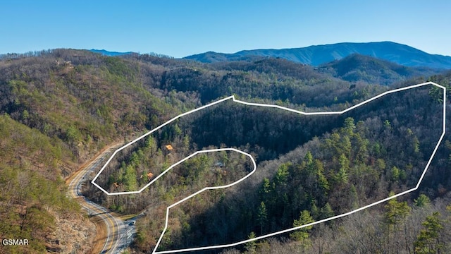 birds eye view of property featuring a forest view and a mountain view