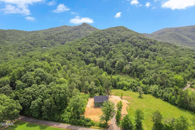 2773 Clabo Rd, Sevierville, TN 37862 - photo 34