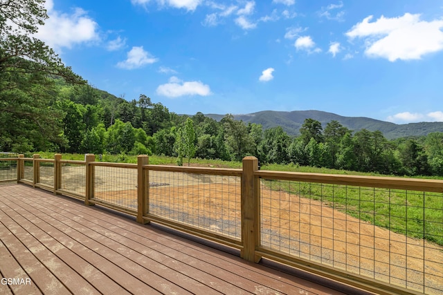 2773 Clabo Rd, Sevierville, TN 37862 - photo 6