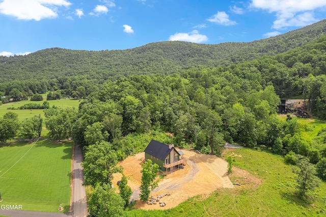 2773 Clabo Rd, Sevierville, TN 37862 - photo 33