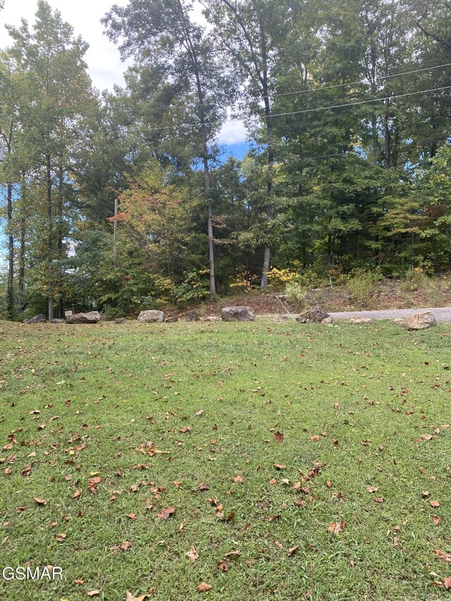 LOT63 Twin City Way, Pigeon Forge, TN 37876