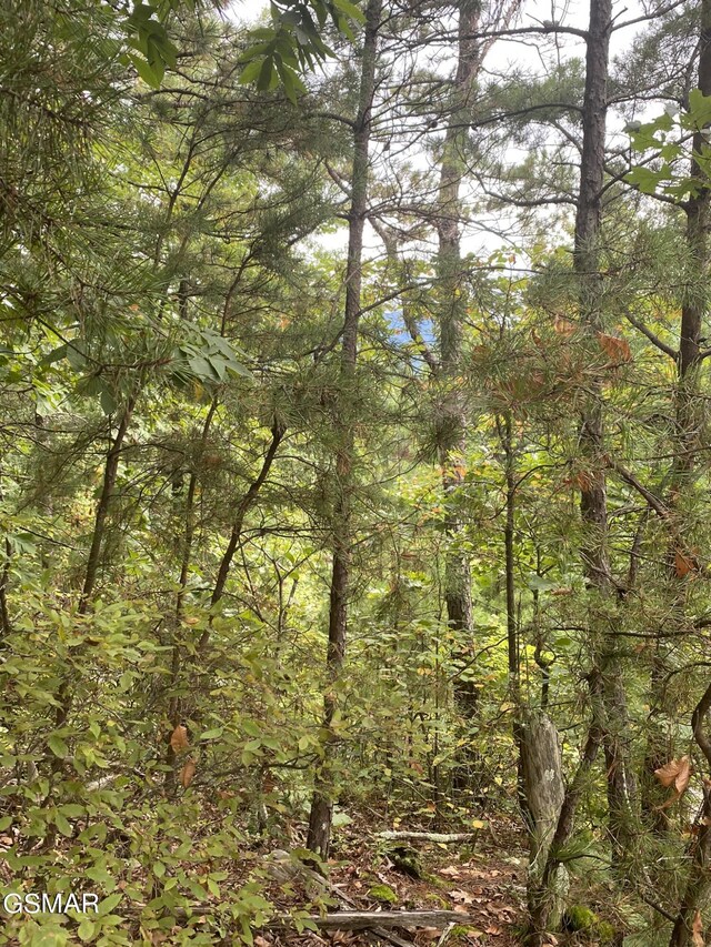 LOT63 Twin City Way, Pigeon Forge, TN 37876