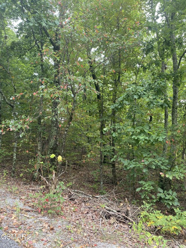 LOT63 Twin City Way, Pigeon Forge, TN 37876