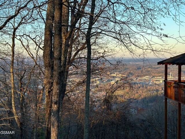 LOT63 Twin City Way, Pigeon Forge, TN 37876