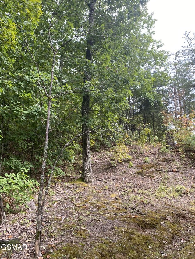LOT63 Twin City Way, Pigeon Forge, TN 37876