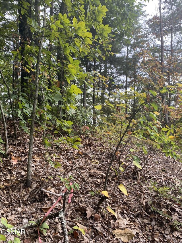 LOT63 Twin City Way, Pigeon Forge, TN 37876