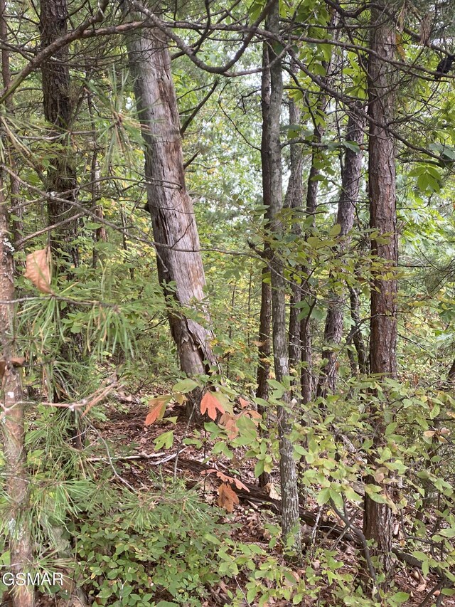 LOT63 Twin City Way, Pigeon Forge, TN 37876