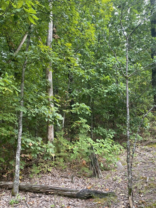 LOT63 Twin City Way, Pigeon Forge, TN 37876