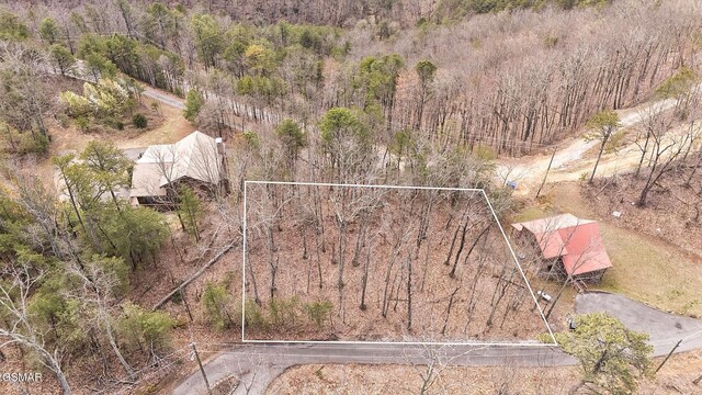 LOT63 Twin City Way, Pigeon Forge, TN 37876