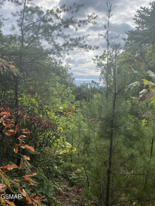 LOT63 Twin City Way, Pigeon Forge, TN 37876