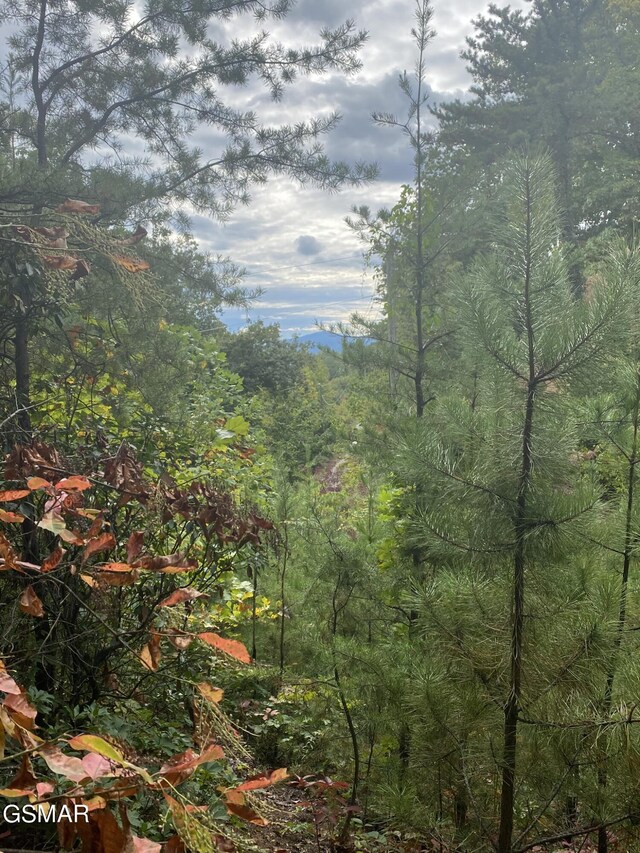 LOT63 Twin City Way, Pigeon Forge, TN 37876