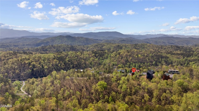 property view of mountains with a wooded view