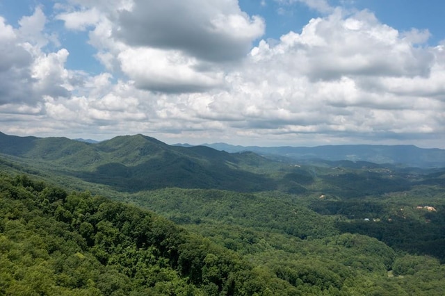 LOT19 Laurel Top Way, Gatlinburg TN, 37738 land for sale