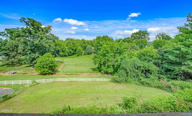 551 Clifton Heights Rd, Newport, TN 37821 - photo 39