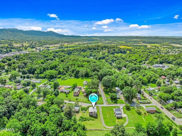 551 Clifton Heights Rd, Newport, TN 37821 - photo 42