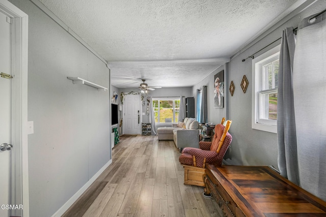 551 Clifton Heights Rd, Newport, TN 37821 - photo 5