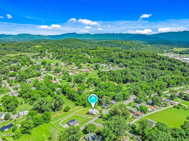 551 Clifton Heights Rd, Newport, TN 37821 - photo 45