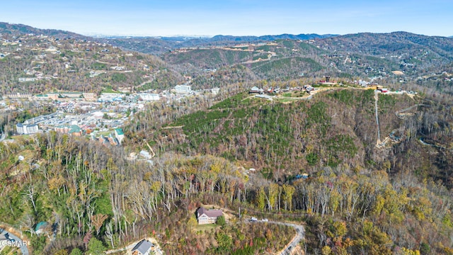835 Perry Dr, Gatlinburg, TN 37738 - photo 59
