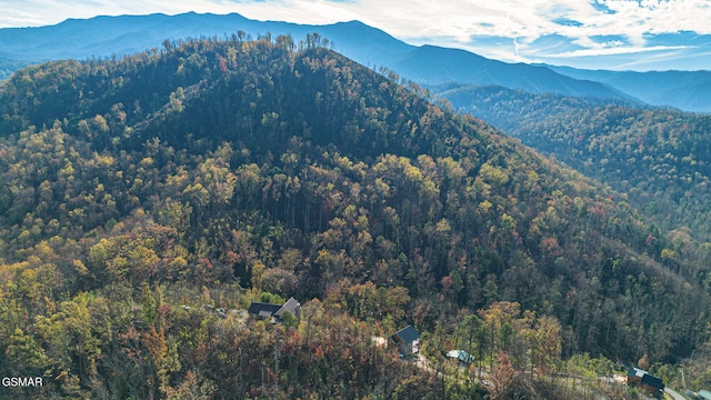 property view of mountains