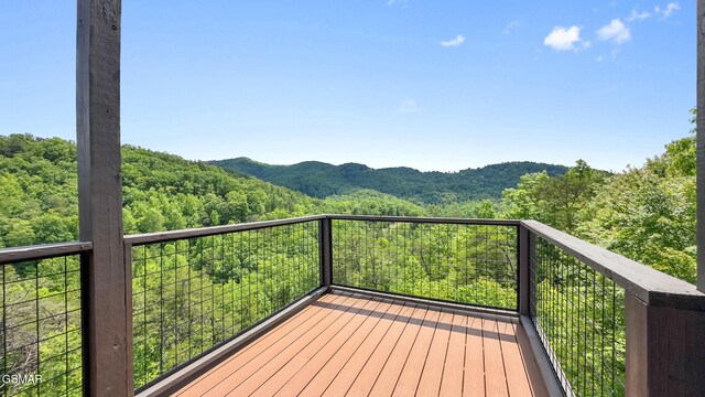 2955 Lightning Strike Dr, Sevierville, TN 37862 - photo 53