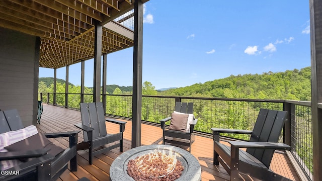 2955 Lightning Strike Dr, Sevierville, TN 37862 - photo 67