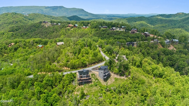 2955 Lightning Strike Dr, Sevierville, TN 37862 - photo 44