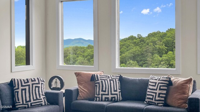 2955 Lightning Strike Dr, Sevierville, TN 37862 - photo 61