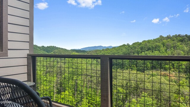 2955 Lightning Strike Dr, Sevierville, TN 37862 - photo 59