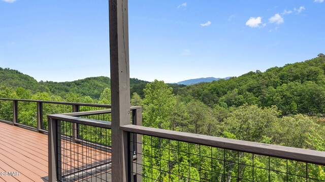 2955 Lightning Strike Dr, Sevierville, TN 37862 - photo 51