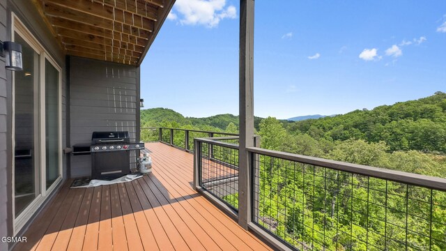 2955 Lightning Strike Dr, Sevierville, TN 37862 - photo 52