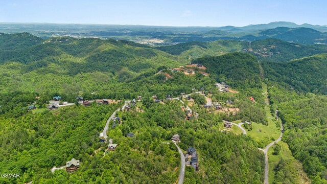 2955 Lightning Strike Dr, Sevierville, TN 37862 - photo 66